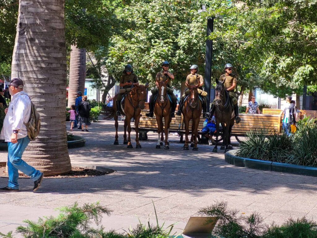 Police mounted on horses